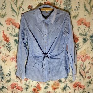 Vintage Sara Campbell Light Blue Striped Button Down Shirt